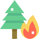 ecology and environment,weather,nature,trees,fire,burning,tree,forest,disaster,flammable,forest fire,burning tree,conflagration